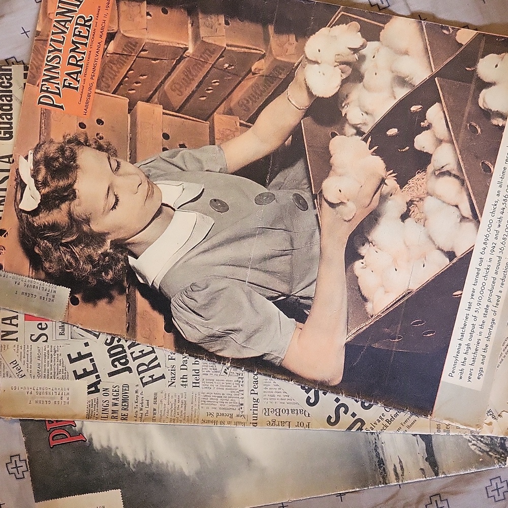 Vintage 1940s Set Of 3 Pennsylvania Farmer Magazines